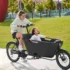 SachsenRAD T8 Grand Modernes Elektro-Lastenfahrrad – Bild 4
