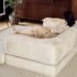 Audrey – Vielseitiges 9-lagiges Schlafsofa – Bild 6